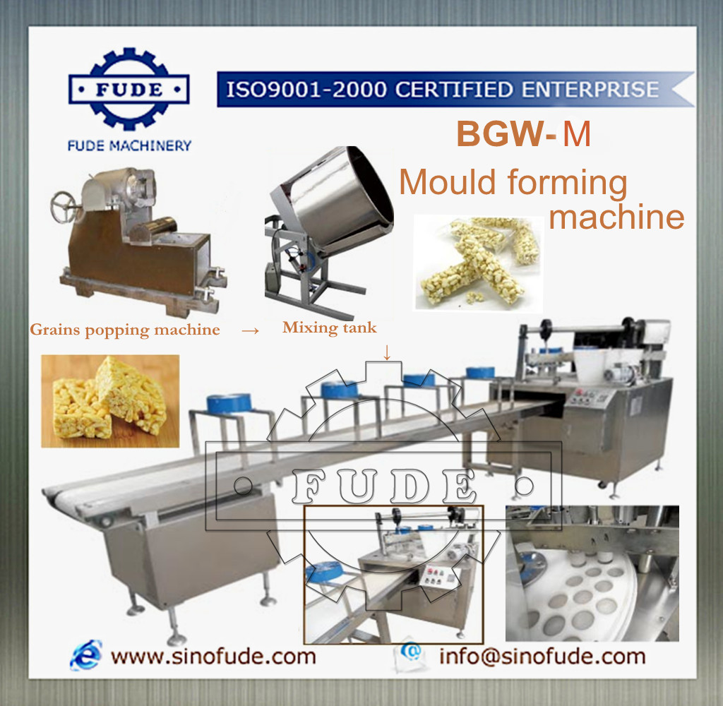 BGW-M Mould forming machine