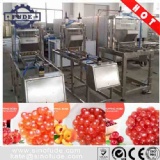 CBZ50 semi-automatic popping boba machine